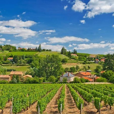 T2 Tout Equipe Au Beau Milieu Du Centre Historique Apartment Villefranche-sur-Saône Екстериор снимка